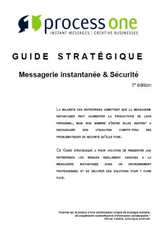 guide_strategique_messagerie_instantanee.jpg, nov. 2009